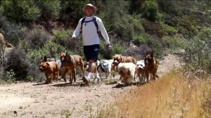 This is a snap shot from a Colin's Pack dog hiking video clip.