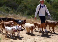 Dog Hiker Santa Monica, clip 1