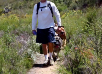 Dog Hiking in Santa Monica Mountains