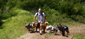Colin West and 10 dogs hiking in the Santa Monica Mountains.