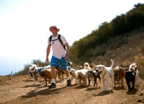Colin's Pack - Dog Pack Hiking for Santa Monica and Pacific Palisades.