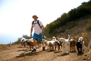 Colin's Pack - Dog Pack Hiking for Santa Monica and Pacific Palisades.