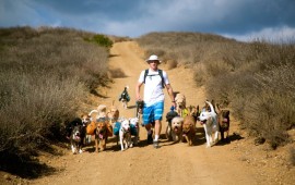 Colin's Pack - Dog Hiking