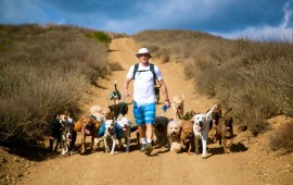 Colin West and the dogs walking down a hill in the Santa Monica Mountains.
