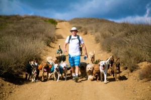 Colin West and the dogs walking down a hill in the Santa Monica Mountains.