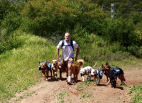 Colin West and the pack climbing a hill in the Santa Monica Mountains.