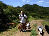 Colin West and his dog hiking group walking up a hill.