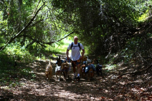 Colin West and the pack walking in the shade.