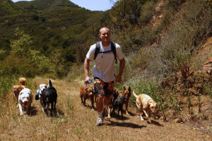 Colin West and the dogs walking up a hill in the Santa Monica mountains.