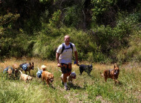 Colin West with the dogs in the Santa Monica Mountains.