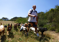 Colin's Pack - Dog Hiking in Pacific Palisades and Santa Monica.