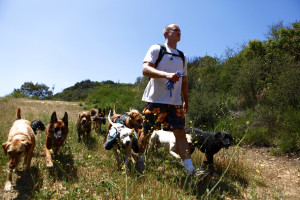 Colin's Pack - Dog Hiking in Pacific Palisades and Santa Monica.