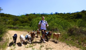 Colin West and the pack hiking down a hill.