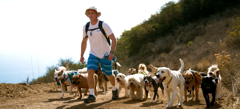 Dog Hiker Santa Monica