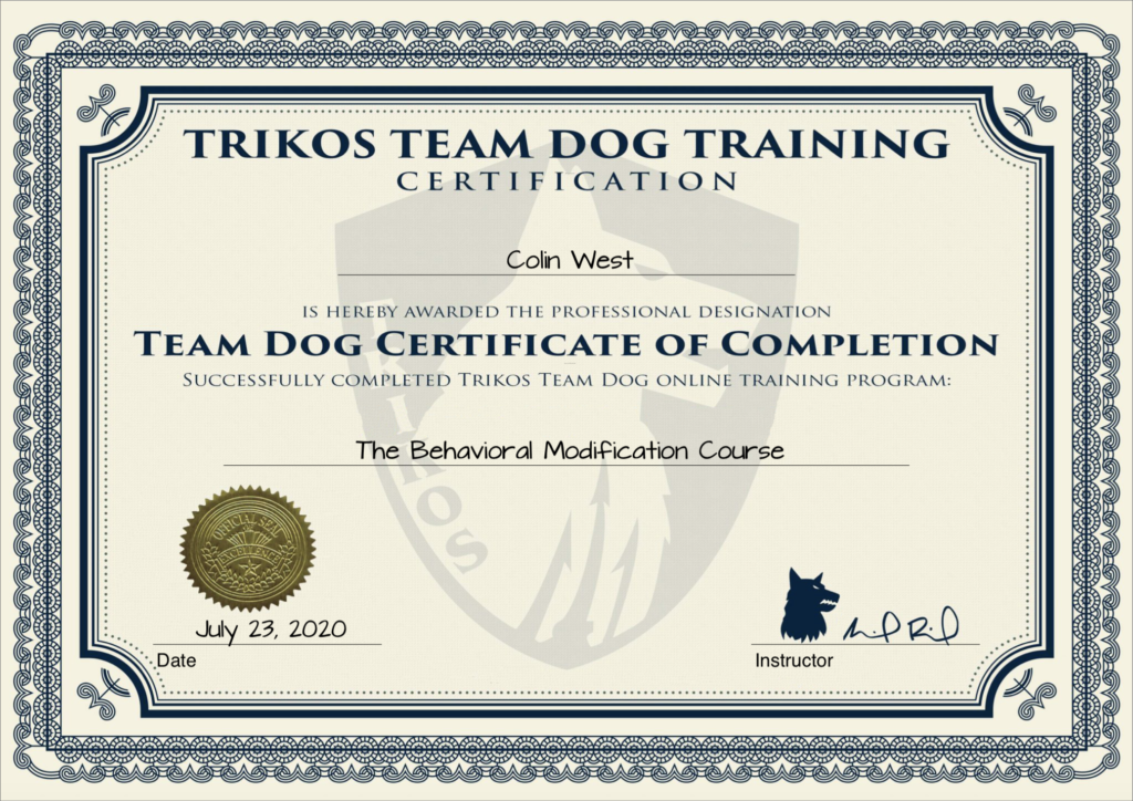TeamDog Behavioral Modification Course